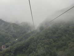 -栾川竹海野生动物园