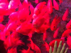 -临沂动植物园