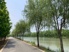 -广富林郊野公园