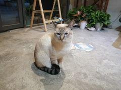 -花十悦·鲜花咖啡餐厅(振业城一期店)