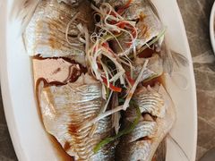 清蒸白水鱼-状元楼(金溪路店)