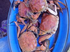 -小象钓虾·营地烧烤(洛溪店)