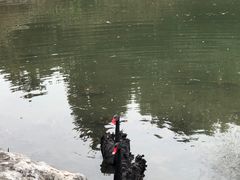 -天目湖涵田度假村