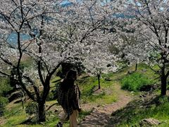 -溪口-滕头旅游景区