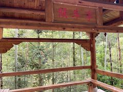 -南靖田螺坑土楼群景区