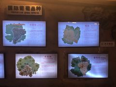 -青岛葡萄酒博物馆