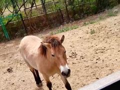 -北京麋鹿生态实验中心