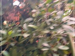 -天发长铁锅炖(王秀村店)