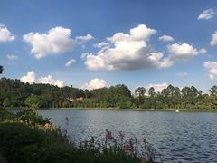 -南国桃园旅游度假区