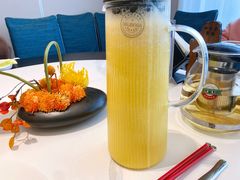 -四季春