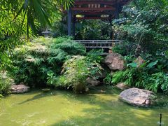 -广州兰圃