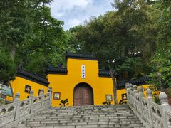 -鸡鸣赐茶(鸡鸣寺路店)