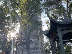 -江心屿景区