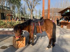 -郑州方特梦幻王国