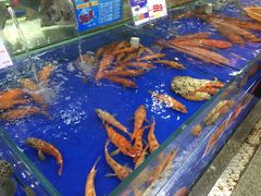 -东江海鲜酒家(艺都分店)