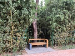 -唐城墙遗址公园