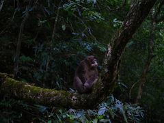 -西岭雪山大飞水景区