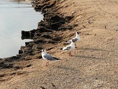 -青海湖二郎剑景区