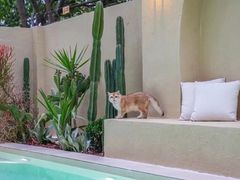 -美的鹭湖森林度假区