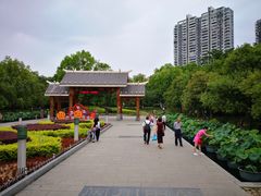-金山公园