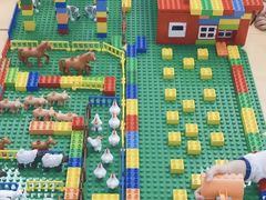 -斯坦星球AI编程·机器人科创·科学实验·信奥·思维·STEM·积木拼搭·竞赛考级(浦东联洋广场大拇指龙阳御桥中心)