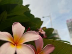 -瑞幸咖啡(青秀区龙光世纪A座店)