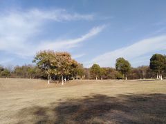 -羊山湖公园