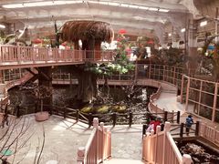 -南宫五洲植物乐园