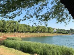 -丁香湖公园
