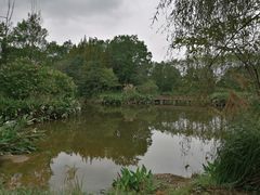 -桤木河湿地公园