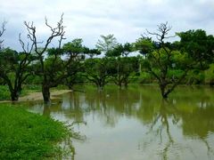 -鹤之洲湿地公园