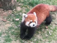 -杭州野生动物世界