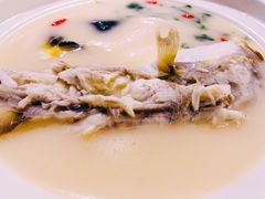 养颜白汁河豚-肆月河豚·新淮扬(金融街店)