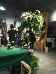 -MOVAN  HAIR莫凡匠人发型屋