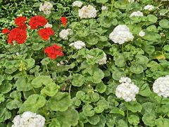 -中国农科院国家农业科技展示园