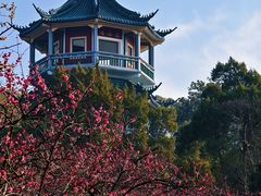 -无锡梅园公园