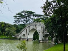 -顺峰山公园