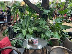 -Fern Forest Cafe