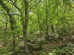 -虞山风景区
