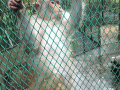 android_upload_pic-藏龙百瀑风景区