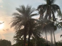 -文华公园(禅城区)