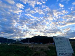 -乐天免税店(明洞店)