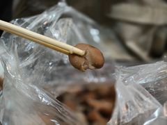 -洪湖里王姐大乌豆