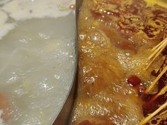 -杨校长·老成都串串香火锅(全国总店)