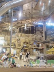 -卡通尼·Safari非洲探索乐园·生日会(金桥国际商业广场店)