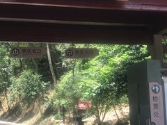 -灵栖洞天