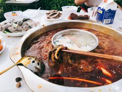 -枇杷园食为鲜火锅(南山店)