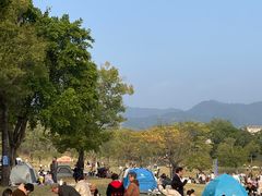 -牛岗山公园