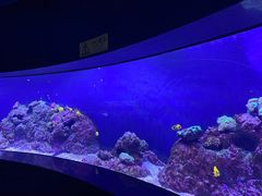 -成都浩海立方海洋公园