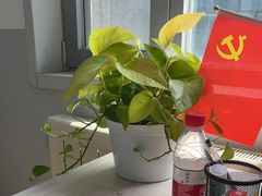 -北京华佳律师事务所(双井店)